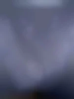 Hbm06