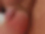 Moustique29
