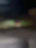 Cplreelcoquin