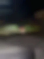 Cplreelcoquin