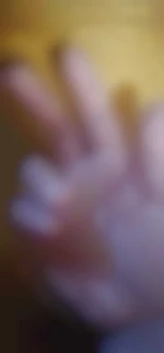 fl19