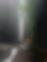 Mandelo