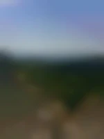zizi029