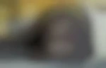 Hsex22