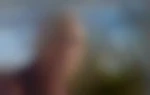 phenomene44