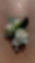 Derf10