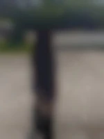 Trav29