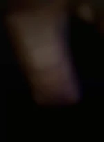 keta3869
