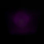 Plaisir_59