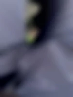 Bidisceet95640