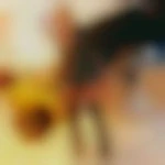 photo profil