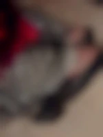 SophieTrav86000