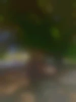 anthodu69