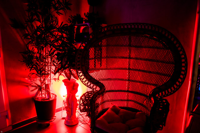 Photo de Au jardin secret